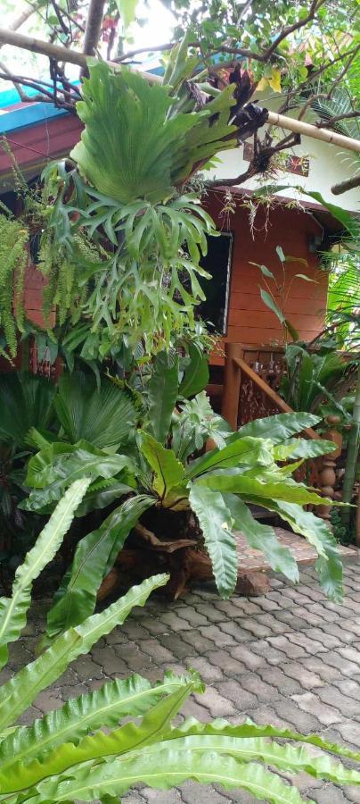 Ouychai Resort Home Stay Chiang Mai Eksteriør bilde