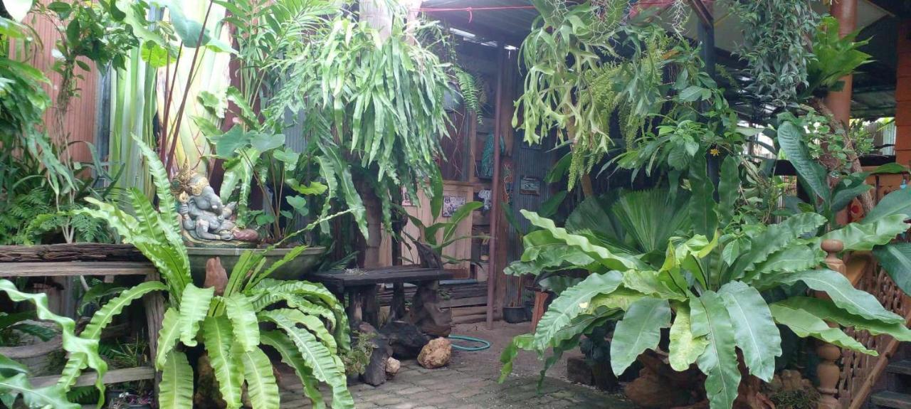 Ouychai Resort Home Stay Chiang Mai Eksteriør bilde
